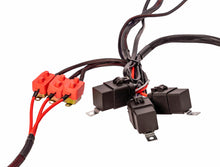 画像をギャラリービューアに読み込む, Aeromotive Wiring Harness Kit - Triple Fuel Pump