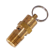 画像をギャラリービューアに読み込む, Kleinn Safety Valve - 1/4In M NPT - 175 PSI Rated Pop-Off Valve