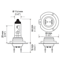画像をギャラリービューアに読み込む, Technical Drawing