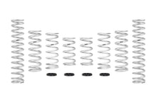 画像をギャラリービューアに読み込む, Eibach 15-16 Can-Am Maverick Pro-UTV - Stage 3 Performance Spring System (Set Of 8 Springs)