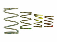 画像をギャラリービューアに読み込む, Turbosmart Gen V WG45/50 Spring Replacement Kit
