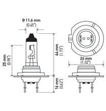 画像をギャラリービューアに読み込む, Technical Drawing