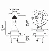 画像をギャラリービューアに読み込む, Technical Drawing
