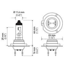 画像をギャラリービューアに読み込む, Technical Drawing