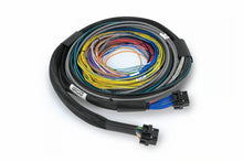画像をギャラリービューアに読み込む, Haltech NEXUS S2/S3 Universal Wire-In Harness Kit - 2.5M (8ft)