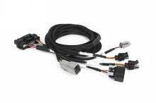 画像をギャラリービューアに読み込む, Haltech NEXUS Universal Plug-in IO Expansion Harness - 2.5m (8ft)