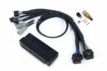 画像をギャラリービューアに読み込む, Haltech NEXUS S2/S3 Plug-n-Play Adapter Harness