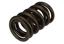 画像をギャラリービューアに読み込む, Ford Racing  Replacement Hydraulic Roller Valve Spring - Single (For M-6049-SCJA)