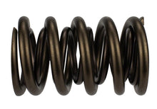 画像をギャラリービューアに読み込む, Ford Racing  Replacement Hydraulic Roller Valve Spring - Single (For M-6049-SCJA)