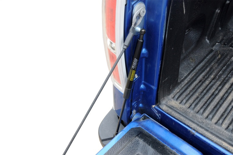 Dee Zee 15-23 Ford F150 Tailgate Assist Shock