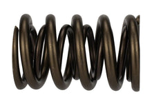 画像をギャラリービューアに読み込む, Ford Racing  Replacement Hydraulic Roller Valve Spring - Single (For M-6049-SCJA)