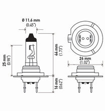 画像をギャラリービューアに読み込む, Technical Drawing