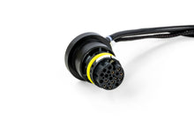 画像をギャラリービューアに読み込む, EM100054_03_P05_CON.jpg