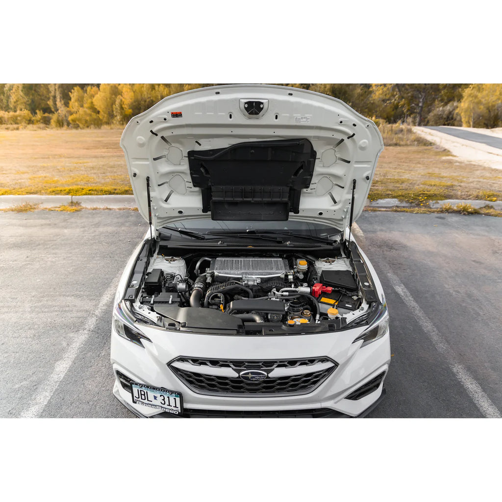 GrimmSpeed 2015+ Subaru WRX/STI High Lift Hood Struts