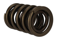 画像をギャラリービューアに読み込む, Ford Racing  Replacement Hydraulic Roller Valve Spring - Single (For M-6049-SCJA)