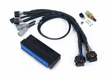 画像をギャラリービューアに読み込む, Haltech NEXUS S3 Plug-n-Play Adapter Harness