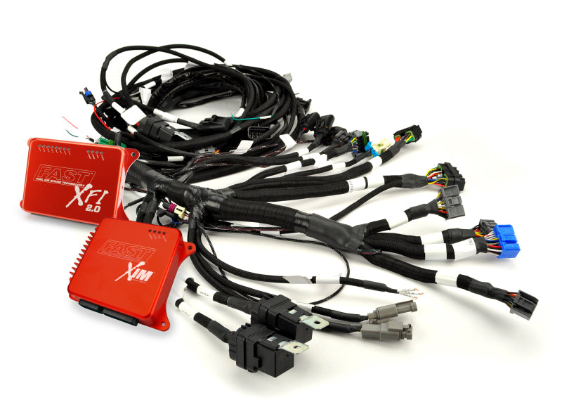 Fast Wiring Harness, Fast Xfi Main, Ford Scj Modular