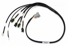 画像をギャラリービューアに読み込む, Haltech Elite 1000/1500 Terminated Ignition Harness