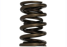 画像をギャラリービューアに読み込む, Ford Racing  Replacement Hydraulic Roller Valve Spring - Single (For M-6049-SCJA)