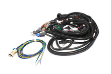 画像をギャラリービューアに読み込む, FAST Wiring Harness FAST Main LT1