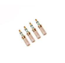 画像をギャラリービューアに読み込む, Ford Racing FRPP Cold Spark Plug Set 2.0L Ecoboost