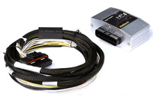 画像をギャラリービューアに読み込む, Haltech HPI4 High Power Igniter Quad Channel 2m Flying Lead Kit
