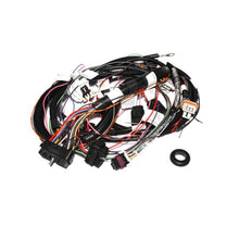 画像をギャラリービューアに読み込む, FAST Wiring Harness XIM For LS1
