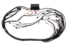 画像をギャラリービューアに読み込む, Haltech GM GEN IV (LS2/LS3 Non DBW) Elite 2000/2500 Terminated Harness w/EV1 Inj Connectors