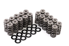 画像をギャラリービューアに読み込む, GSC P-D 2017+ Audi RS3 DAZA Beehive Valve Spring and Ti Retainer Kit (60PSI Max Boost)