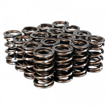 画像をギャラリービューアに読み込む, Skunk2 Pro Series Honda/Acura B-Series VTEC XP Valve Spring Set (Dual Springs)