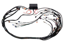 画像をギャラリービューアに読み込む, Haltech GM GEN III LS1 &amp; LS6 (Non DBW) Elite 2000/2500 Terminated Harness w/EV1 Injector Connectors