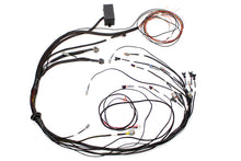 画像をギャラリービューアに読み込む, Haltech Elite 1000 Terminated Harness