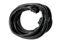 画像をギャラリービューアに読み込む, Haltech CAN Cable 8 Pin Black Tyco to 8 Pin Black Tyco 1800mm (72in)