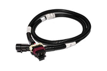 画像をギャラリービューアに読み込む, FAST FAST LS2/LS7 Cam Pickup Adapter Harness