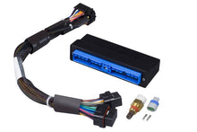 画像をギャラリービューアに読み込む, Haltech Elite 1000/1500 Plug-n-Play Adaptor Harness