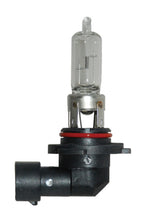 画像をギャラリービューアに読み込む, Hella Bulb 9005/HB3 12V 65W P20d T4 LONGLIFE