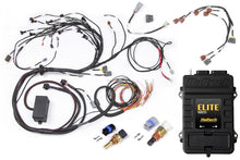 画像をギャラリービューアに読み込む, Haltech Elite 2500 Terminated Engine Harness ECU Kit w/Early Ignition