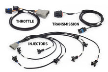 画像をギャラリービューアに読み込む, Haltech NEXUS Rebel LS Gen III Cable Throttle/EV1 Injectors/Manual Transmission