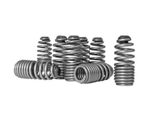 画像をギャラリービューアに読み込む, Skunk2 Honda/Acura VTEC B Series Spring Type Lost Motion Assembly Kit