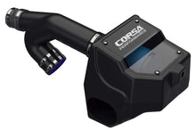 画像をギャラリービューアに読み込む, Corsa 15-20 Ford F-150 2.7L Ecoboost / 2015-2016 3.5L EcoBoost Cold Air Intake with DryTech Filter
