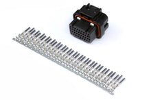 画像をギャラリービューアに読み込む, Haltech AMP 34 Pin 4 Row 3 Keyway Superseal Connector Plug &amp; Pins