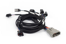 画像をギャラリービューアに読み込む, Haltech NEXUS Rebel LS Multec 2 Injector Sub-Harness