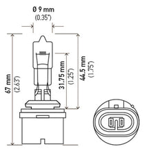 画像をギャラリービューアに読み込む, Hella Bulb 890 12V 27W Pg13 T325