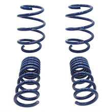 画像をギャラリービューアに読み込む, Ford Racing 2015-2017 Mustang GT350 Lowering Springs