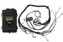 画像をギャラリービューアに読み込む, Haltech Elite 2500 Terminated Harness ECU Kit w/EV1 Injector Connectors