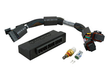 画像をギャラリービューアに読み込む, Haltech Elite 2000/2500 Plug-n-Play Adaptor Harness