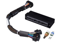 画像をギャラリービューアに読み込む, Haltech Elite 1000/1500 Plug-n-Play Adaptor Harness
