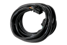 画像をギャラリービューアに読み込む, Haltech CAN Cable 8 Pin Black Tyco to 8 Pin Black Tyco 900mm (36in)