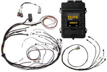 画像をギャラリービューアに読み込む, Haltech Elite 1500 Terminated Harness ECU Kit w/ Square EV1 Injector Connectors