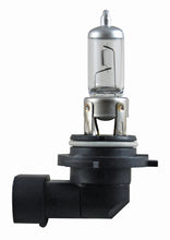画像をギャラリービューアに読み込む, Hella Bulb 9006 12V 55W P22D T4 +50 (2)